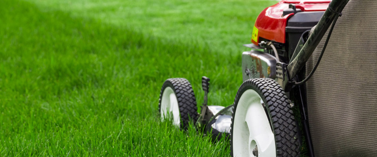 Landscaping Business Insurance