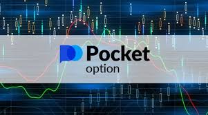 Pocket Option Contacts Your Guide to Reaching Out